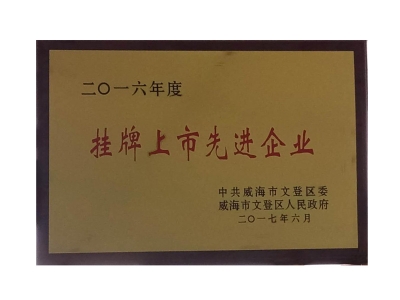 掛牌上市先進(jìn)企業(yè)